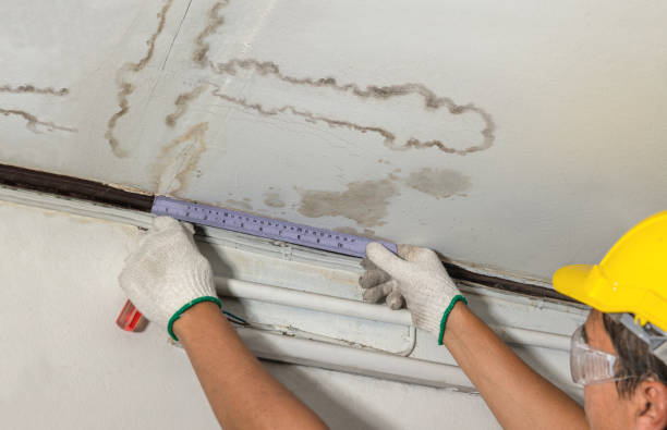 Reliable Mold Remediation contractor in Ipswich, MA by Water Damage Irwin